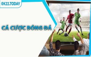Cá Cược Bóng Đá