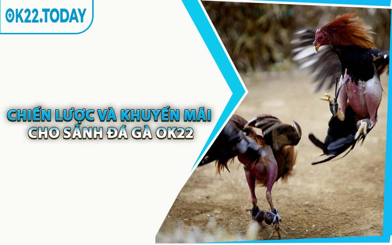 Chiến Lược Và Khuyến Mãi Cho Sảnh Đá Gà OK22
