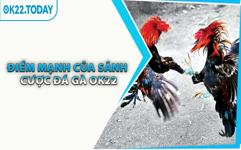 Điểm Mạnh Của Sảnh Cược Đá Gà OK22
