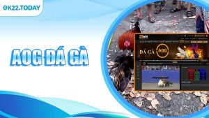AOG Đá Gà