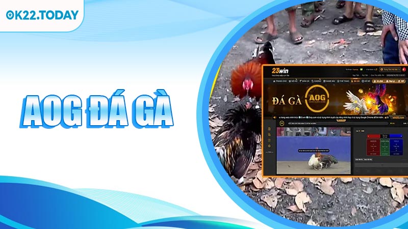 AOG Đá Gà