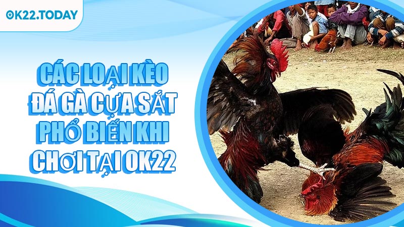 Các Loại Kèo Đá Gà Cựa Sắt Phổ Biến Khi Chơi Tại OK22
