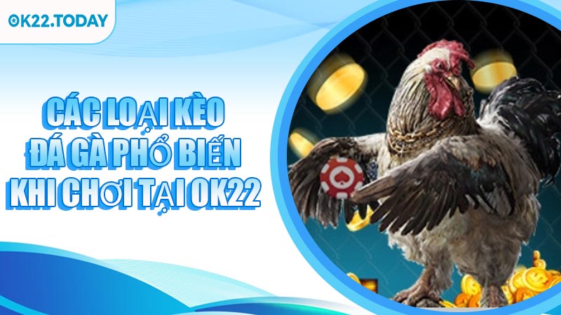 Các Loại Kèo Đá Gà Phổ Biến Khi Chơi Tại OK22