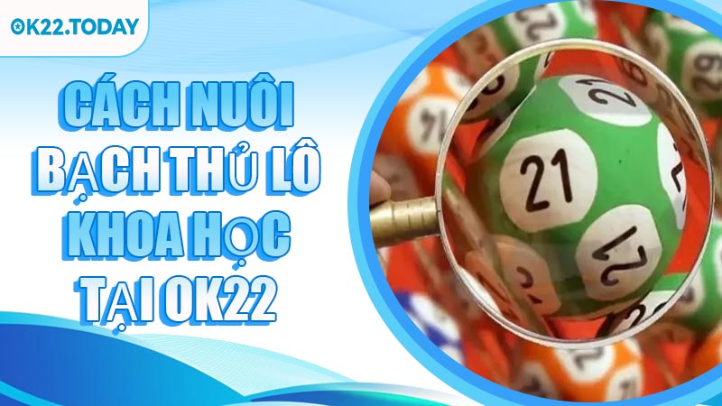 Cách nuôi bạch thủ lô khoa học tại OK22
