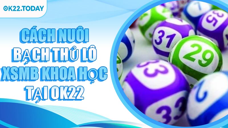 Cách nuôi bạch thủ lô XSMB khoa học tại OK22