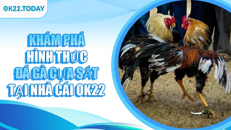 Khám Phá Hình Thức Đá Gà Cựa Sắt Tại Nhà Cái OK22