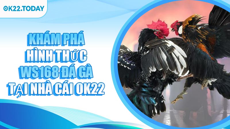 Khám Phá Hình Thức WS168 Đá Gà Tại Nhà Cái OK22