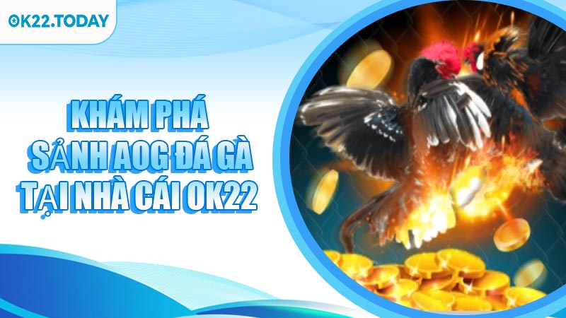 Khám Phá Sảnh AOG Đá Gà Tại Nhà Cái OK22