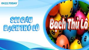 Soi Cầu Bạch Thủ Lô
