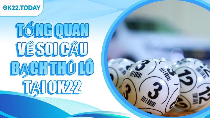 Tổng quan về soi cầu bạch thủ lô tại OK22