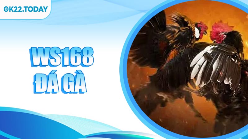 WS168 Đá Gà